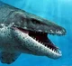 Prognathodon