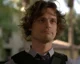 BAU Spencer Reid 