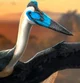 Aerotitan