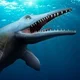 Plotosaurus
