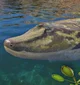 Tiktaalik