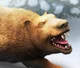 Sarkastodon