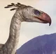 Phorusrhacos