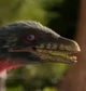 Procompsognathus