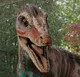 Megaraptor