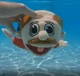 marvin swimming