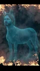 Fantasmanero jeguero