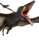 Eudimorphodon