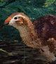 Leaellynasaura