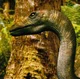 Anchisaurus