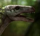 Dromaeosaurus