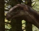 Plateosaurus