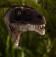 Ornitholestes