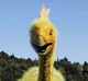 Avimimus