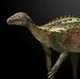 Scutellosaurus