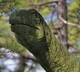 Massospondylus