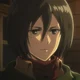 Mikasa Ackerman wlw