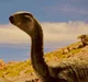 Dryosaurus