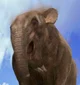 Deinotherium