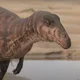 Masiakasaurus