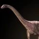 Riojasaurus