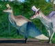 Lambeosaurus