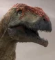 Mapusaurus