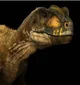 Rugops