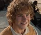 Merry Brandybuck