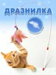 Дразнилка 