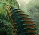 Amargasaurus