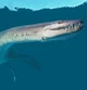 Attenborosaurus