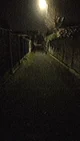 Late Night Walk