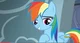 Rainbow Dash 