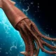 Tusoteuthis