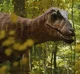 Qianzhousaurus