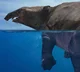 Moeritherium