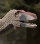 Alioramus