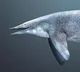 Shastasaurus