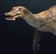 Atopodentatus
