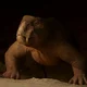 Lystrosaurus