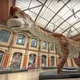 Giraffatitan