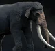 Palaeoloxodon