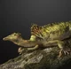 Drepanosaurus