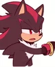 Shadow The Hedgehog