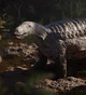 Stagonolepis