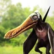 Cearadactylus