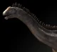 Dicraeosaurus