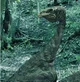 Glacialisaurus