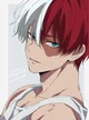 Shoto Todoroki